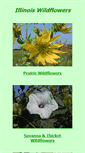 Mobile Screenshot of illinoiswildflowers.info