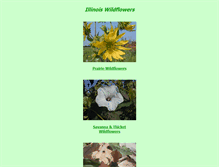 Tablet Screenshot of illinoiswildflowers.info